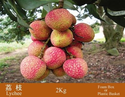 荔枝(Litchi)