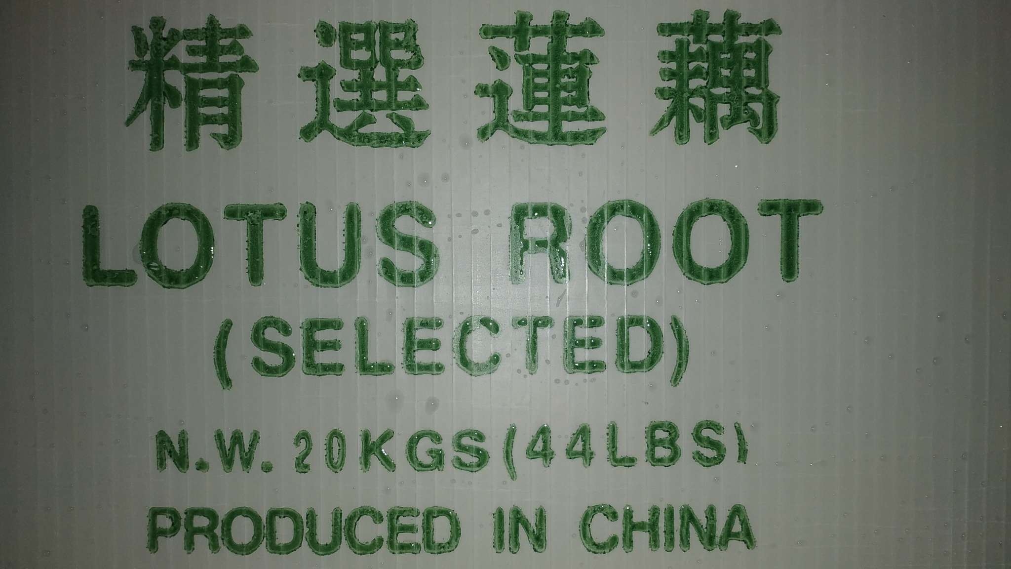 洗水莲藕(Lotus root)