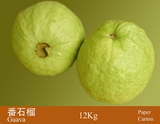 番石榴/台湾芭乐(Guava)