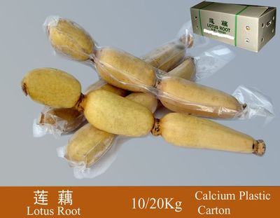 真空莲藕（Vacuum lotus root）